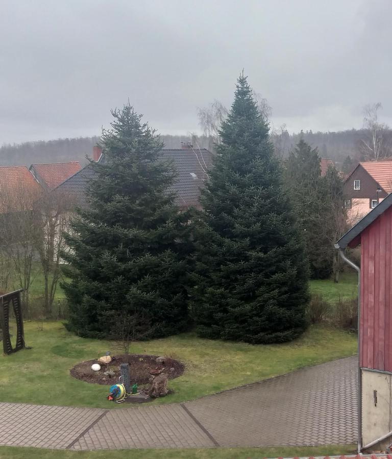 Harzer Bauernhof Apartment Thale Bilik gambar